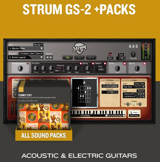 AAS Applied Acoustics Systems ( STRUM GS-2 + PACKS )